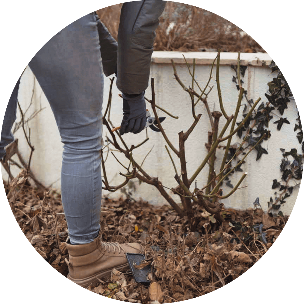 Gartencenter & Gartengestaltung STARKL